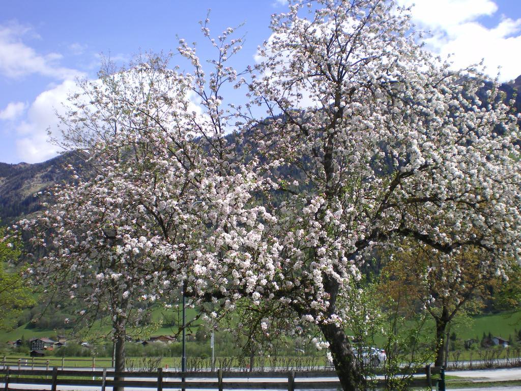 Stubnerbauer Villa Bad Hofgastein Exterior photo